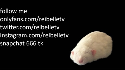 reibelletv  06-06-2022